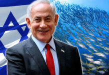 La Hazaña Imposible: Peces en el Desierto de Israel