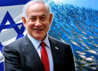 La Hazaña Imposible: Peces en el Desierto de Israel